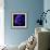 anemone-Magda Indigo-Framed Photographic Print displayed on a wall