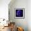 anemone-Magda Indigo-Framed Photographic Print displayed on a wall