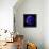 anemone-Magda Indigo-Framed Premier Image Canvas displayed on a wall