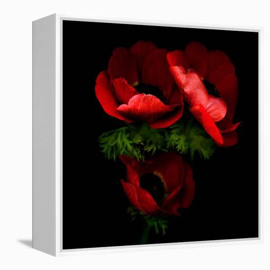 anemone-Magda Indigo-Framed Premier Image Canvas