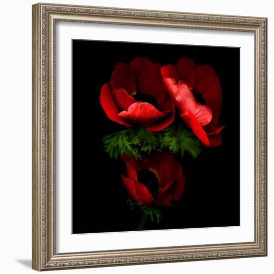 anemone-Magda Indigo-Framed Photographic Print