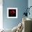 anemone-Magda Indigo-Framed Photographic Print displayed on a wall