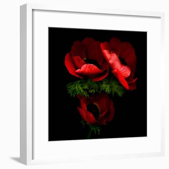 anemone-Magda Indigo-Framed Photographic Print