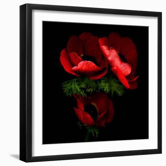 anemone-Magda Indigo-Framed Photographic Print