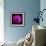 anemone-Magda Indigo-Framed Photographic Print displayed on a wall