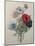 Anemone-Pierre-Joseph Redoute-Mounted Art Print