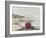 Anemone-Philip Henry Gosse-Framed Giclee Print