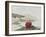 Anemone-Philip Henry Gosse-Framed Giclee Print