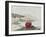 Anemone-Philip Henry Gosse-Framed Giclee Print