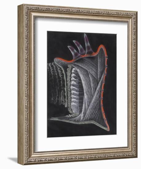 Anemone-Philip Henry Gosse-Framed Giclee Print