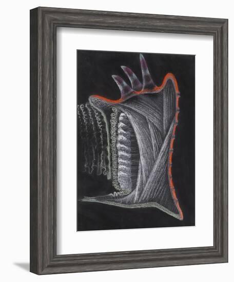 Anemone-Philip Henry Gosse-Framed Giclee Print