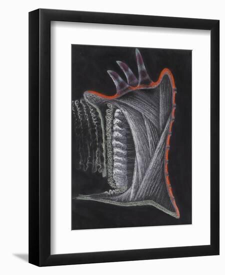 Anemone-Philip Henry Gosse-Framed Giclee Print