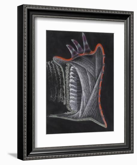 Anemone-Philip Henry Gosse-Framed Giclee Print