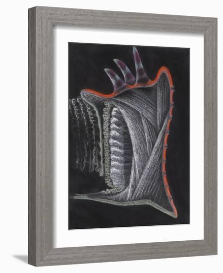 Anemone-Philip Henry Gosse-Framed Giclee Print