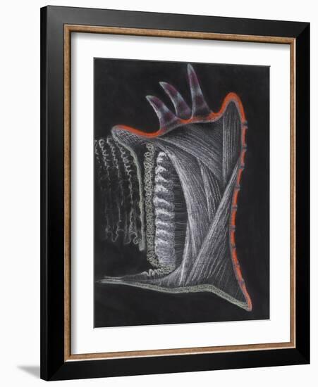 Anemone-Philip Henry Gosse-Framed Giclee Print