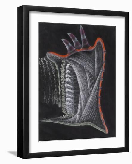 Anemone-Philip Henry Gosse-Framed Giclee Print