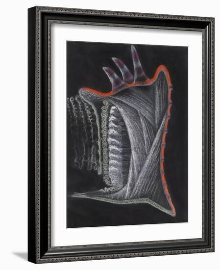 Anemone-Philip Henry Gosse-Framed Giclee Print