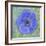 Anemone-Cora Niele-Framed Giclee Print