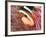 Anemonefish, Tukang Besi/Wakatobi Archipelago Marine Preserve, South Sulawesi, Indonesia-Stuart Westmorland-Framed Photographic Print