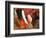 Anemonefish, Tukang Besi/Wakatobi Archipelago Marine Preserve, South Sulawesi, Indonesia-Stuart Westmorland-Framed Photographic Print