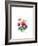 Anemones, 2007-Nell Hill-Framed Giclee Print