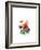 Anemones, 2007-Nell Hill-Framed Giclee Print