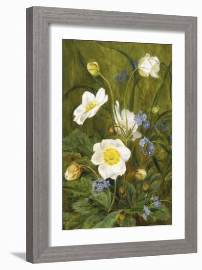 Anemones and Forget-Me-Nots-Maria Krabbe-Framed Giclee Print