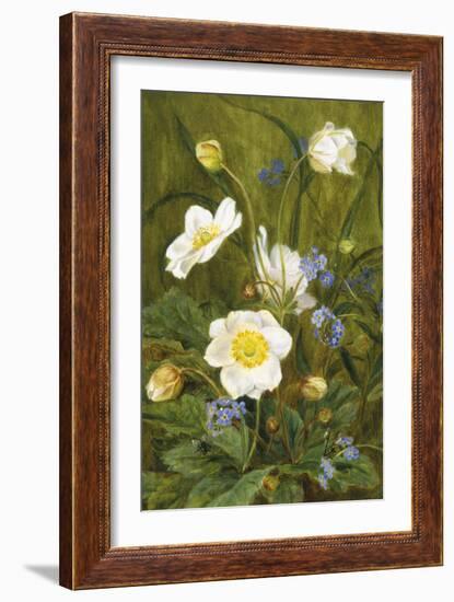 Anemones and Forget-Me-Nots-Maria Krabbe-Framed Giclee Print