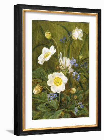 Anemones and Forget-Me-Nots-Maria Krabbe-Framed Giclee Print