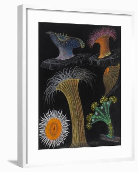 Anemones and Stalked Jellyfish-Philip Henry Gosse-Framed Giclee Print