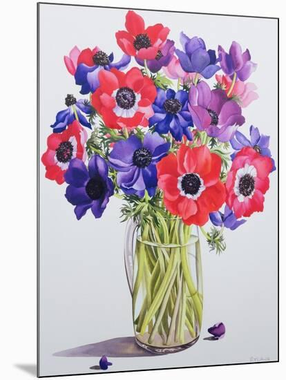 Anemones in a Glass Jug, 2007-Christopher Ryland-Mounted Giclee Print
