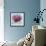 Anemones: Red, White, Pink and Purple-Joan Thewsey-Framed Giclee Print displayed on a wall
