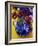 Anemones, Series I-Isy Ochoa-Framed Giclee Print