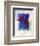 Anemones-Franz Heigl-Framed Art Print