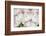 Anemones-Heidi Westum-Framed Photographic Print