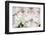 Anemones-Heidi Westum-Framed Photographic Print