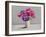 Anemones-Christopher Ryland-Framed Giclee Print