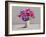 Anemones-Christopher Ryland-Framed Giclee Print