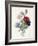 Anenome Simple-Pierre-Joseph Redouté-Framed Giclee Print