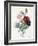 Anenome Simple-Pierre-Joseph Redouté-Framed Giclee Print