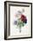 Anenome Simple-Pierre-Joseph Redouté-Framed Giclee Print