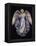 Angel 7-Edgar Jerins-Framed Premier Image Canvas