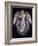 Angel 7-Edgar Jerins-Framed Giclee Print