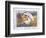 Angel at Rest-Edward Tadiello-Framed Art Print