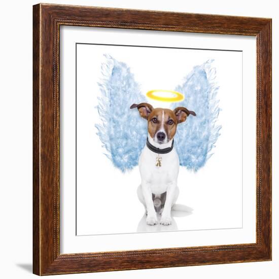 Angel Dog Feather Wings Aura Nimbus-Javier Brosch-Framed Photographic Print