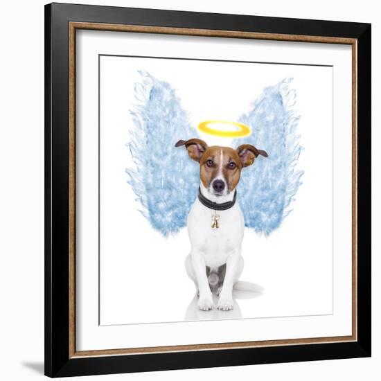 Angel Dog Feather Wings Aura Nimbus-Javier Brosch-Framed Photographic Print