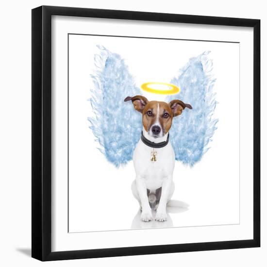 Angel Dog Feather Wings Aura Nimbus-Javier Brosch-Framed Photographic Print