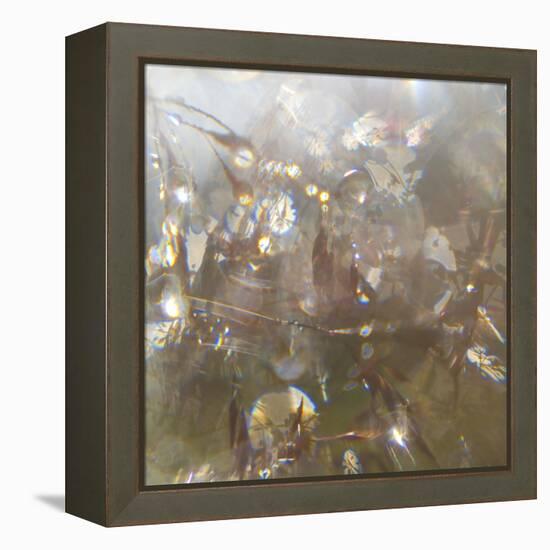 Angel Drops II-Gillian Hunt-Framed Premier Image Canvas