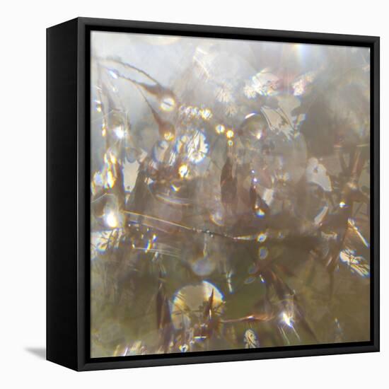 Angel Drops II-Gillian Hunt-Framed Premier Image Canvas