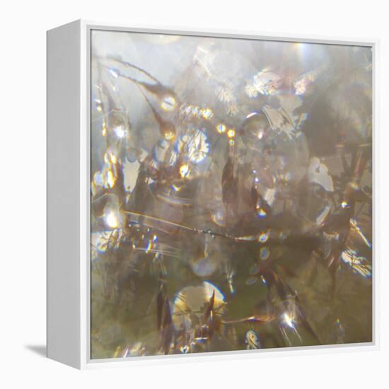 Angel Drops II-Gillian Hunt-Framed Premier Image Canvas